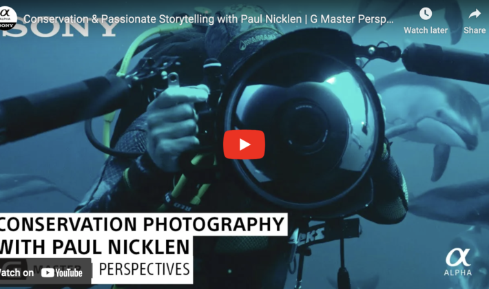 video cover image of a man holding an underwater housing underwater