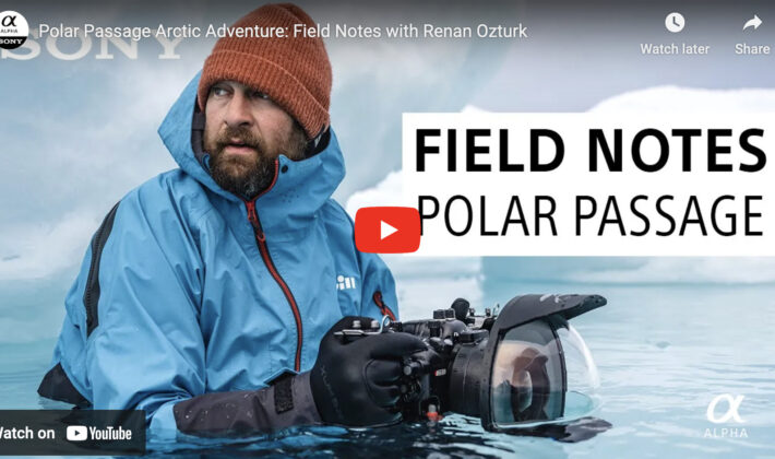 video cover image of Renan Ozturk standing in cold water with a camera in underwater housing
