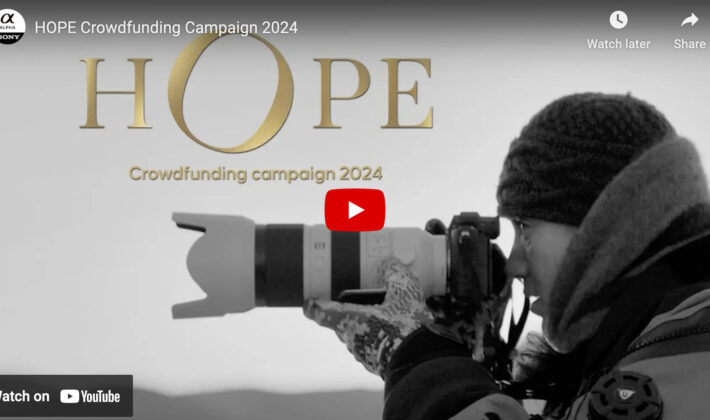 video cover image of Cristina Mittermeier taking a photo